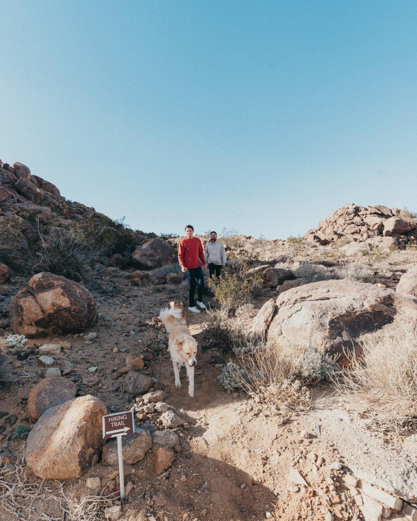Vila Prism By The Cohost Company Joshua Tree Exteriér fotografie